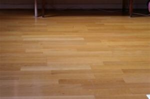 Floor Stripper- Plain